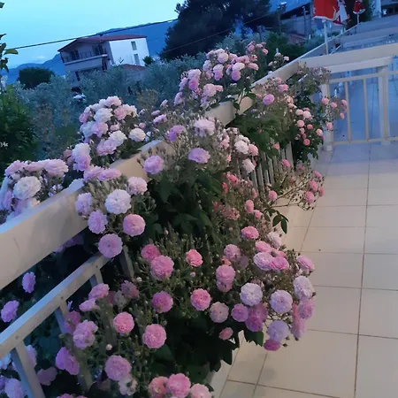 Kontogiannis Lihas Club 2 Agios Georgios (Istiaia-Aidipsos)