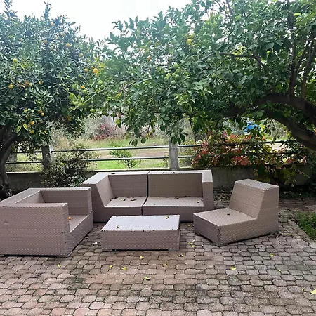 Kontogiannis Lihas Club 2 Agios Georgios (Istiaia-Aidipsos)