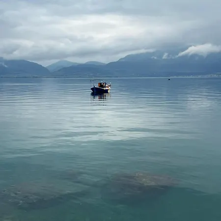 Kontogiannis Lihas Club 2 *